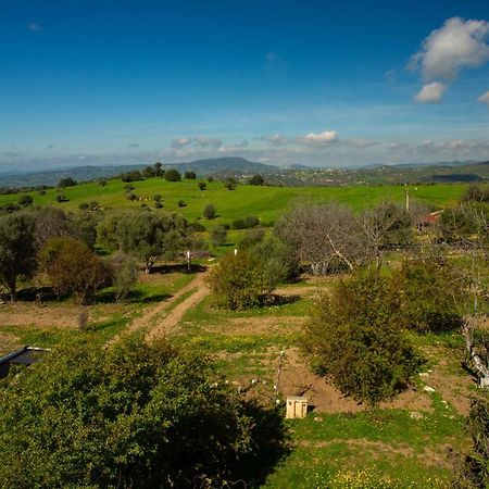 Camping Panorama Hotell Ouazzane Eksteriør bilde