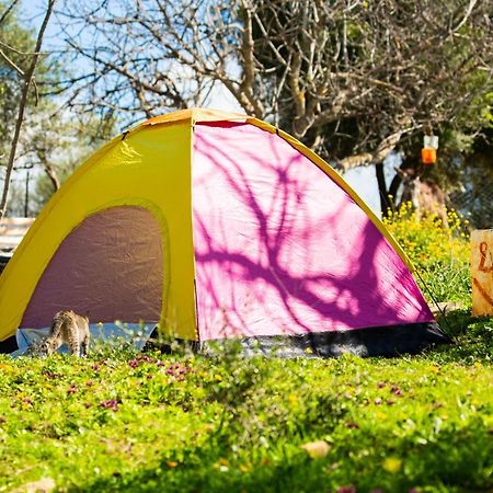 Camping Panorama Hotell Ouazzane Eksteriør bilde