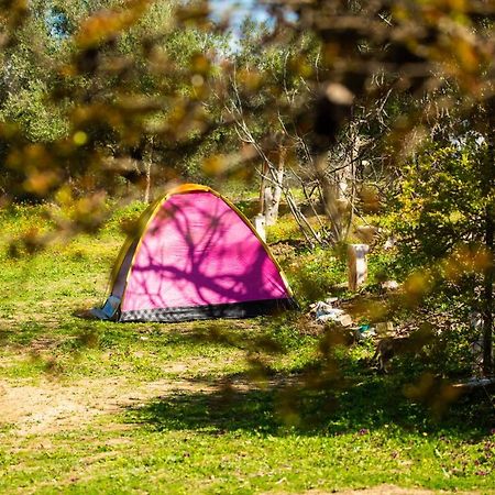 Camping Panorama Hotell Ouazzane Eksteriør bilde