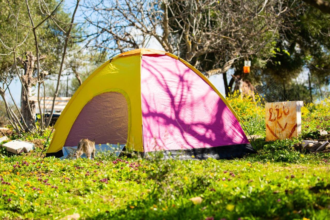 Camping Panorama Hotell Ouazzane Eksteriør bilde