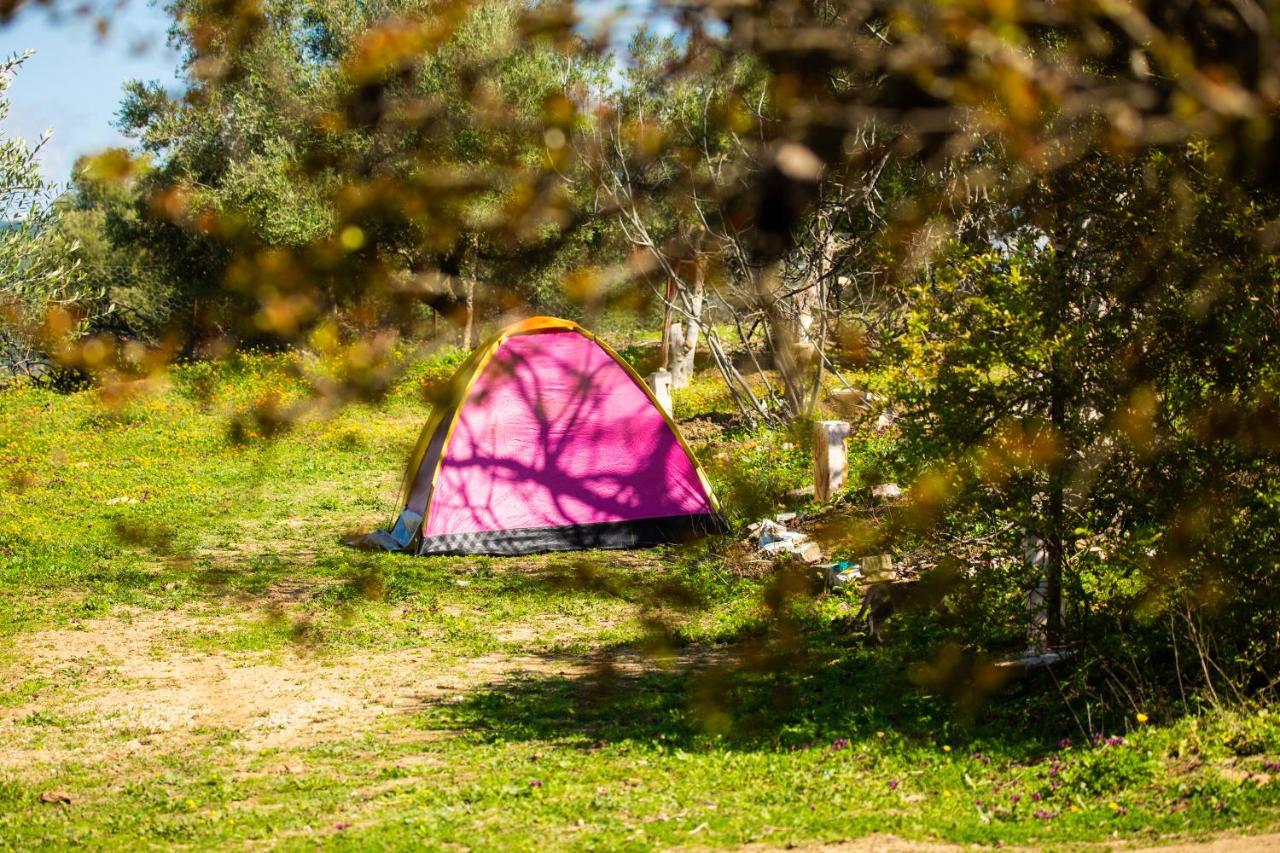 Camping Panorama Hotell Ouazzane Eksteriør bilde